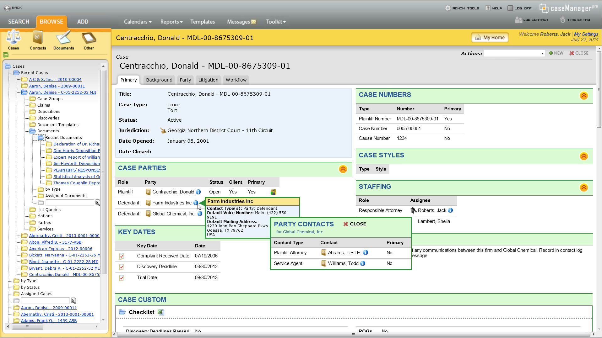 Legal Case Management System Examples